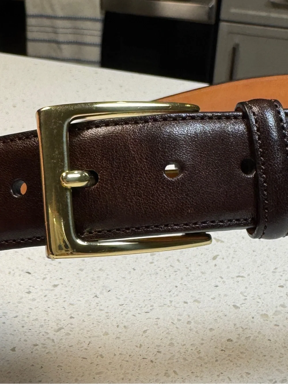 Trafalgar Dark Brown Cortina Leather Belt Square Solid Brass Buckle 38